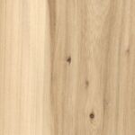 elm