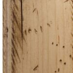 Antiquated Brown Maple Natural